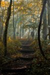 itap-of-the-appalachian-trail-v0-3fm5mtx9eydf1.webp