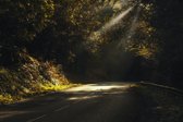 road-2.jpg
