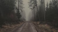 road.jpg